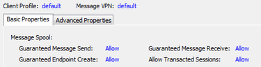 Persistence with Queues | Solace API Tutorials