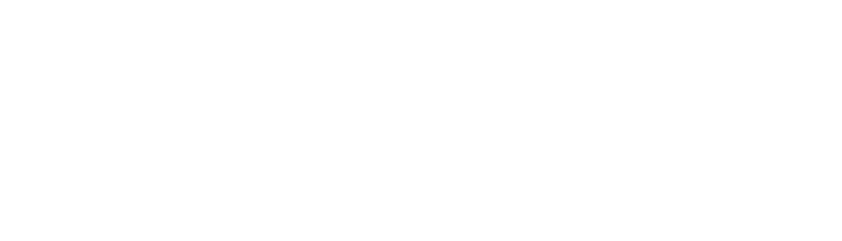 Solace Developers Logo